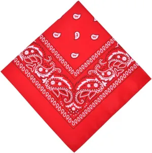 Aomig Bandana Head Scarf for Men and Women, Stylish Cowboy Headband Handkerchief, Multi-purpose Hair Scarf Paisley Print Unisex Headwraps
