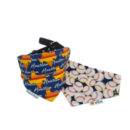 Deep in the Heart of Texas Astros Inspired Dog Bandana - Handmade
