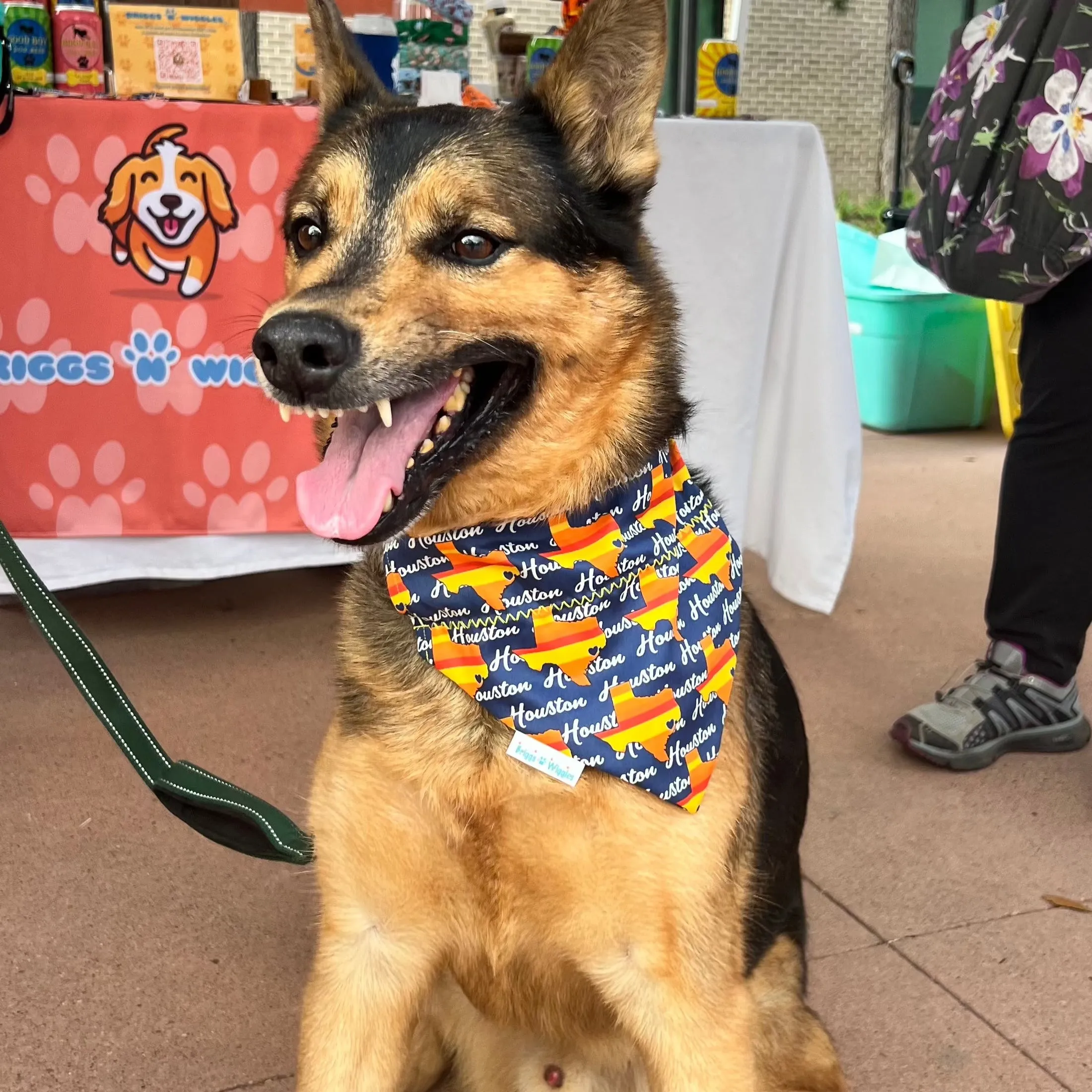 Deep in the Heart of Texas Astros Inspired Dog Bandana - Handmade