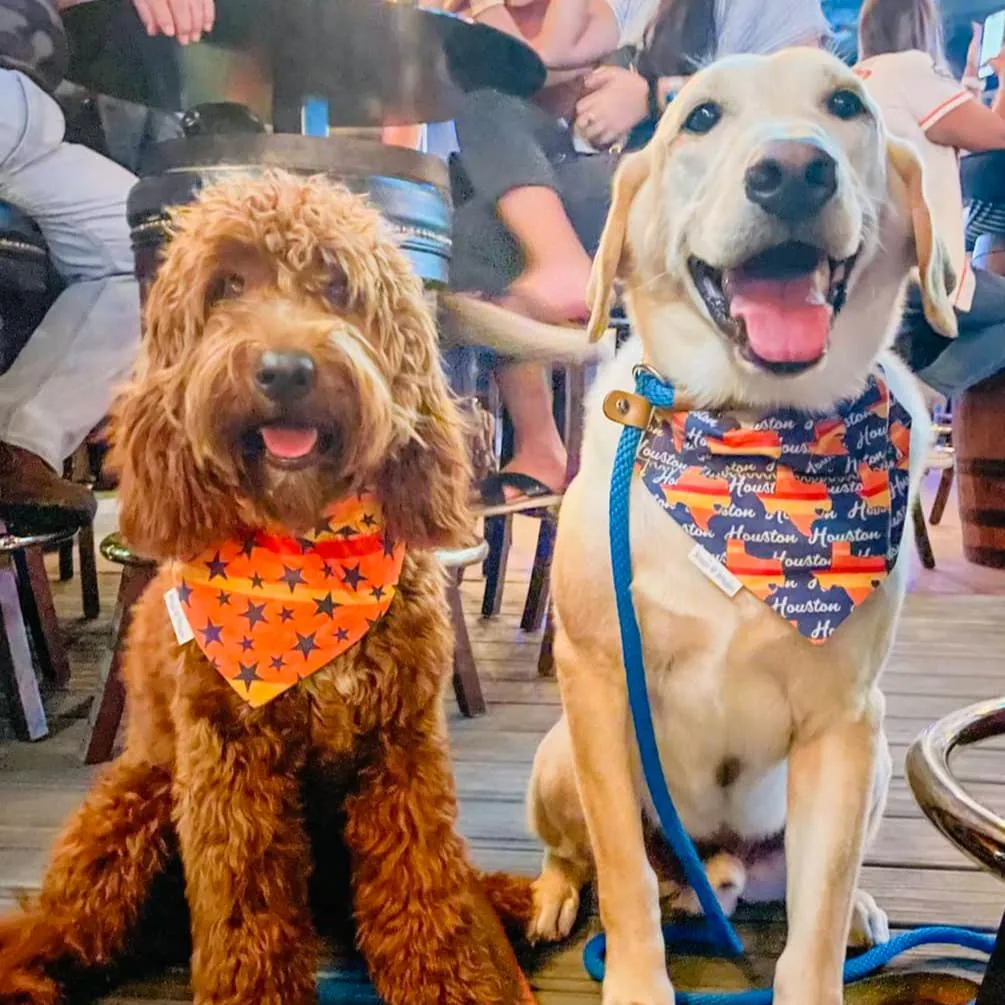 Deep in the Heart of Texas Astros Inspired Dog Bandana - Handmade