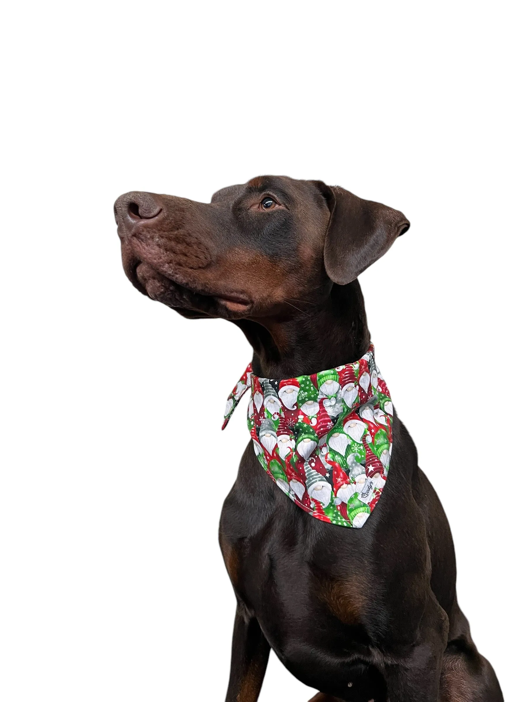 Holiday Pet Bandanas