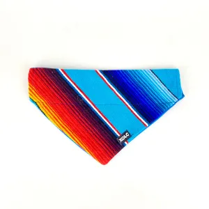 MEDIUM BLUE SARAPE DOG BANDANA.156