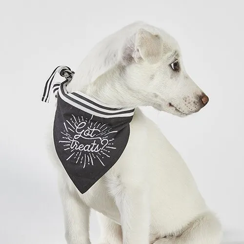 Pet Bandana - Party Animal