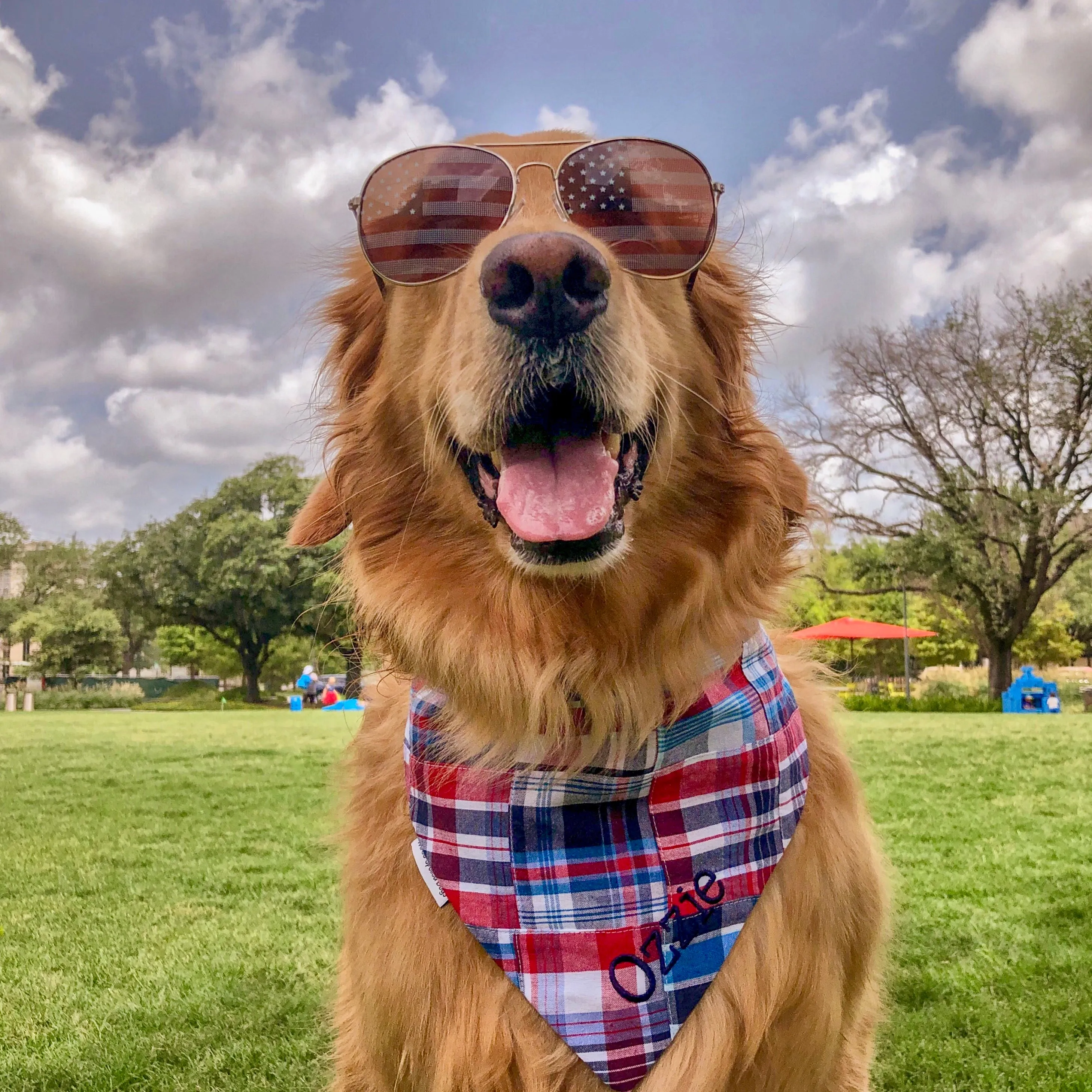 SOLD OUT - Madras Personalized Dog Bandanas in Nantucket Patchwork
