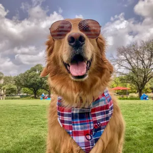 SOLD OUT - Madras Personalized Dog Bandanas in Nantucket Patchwork