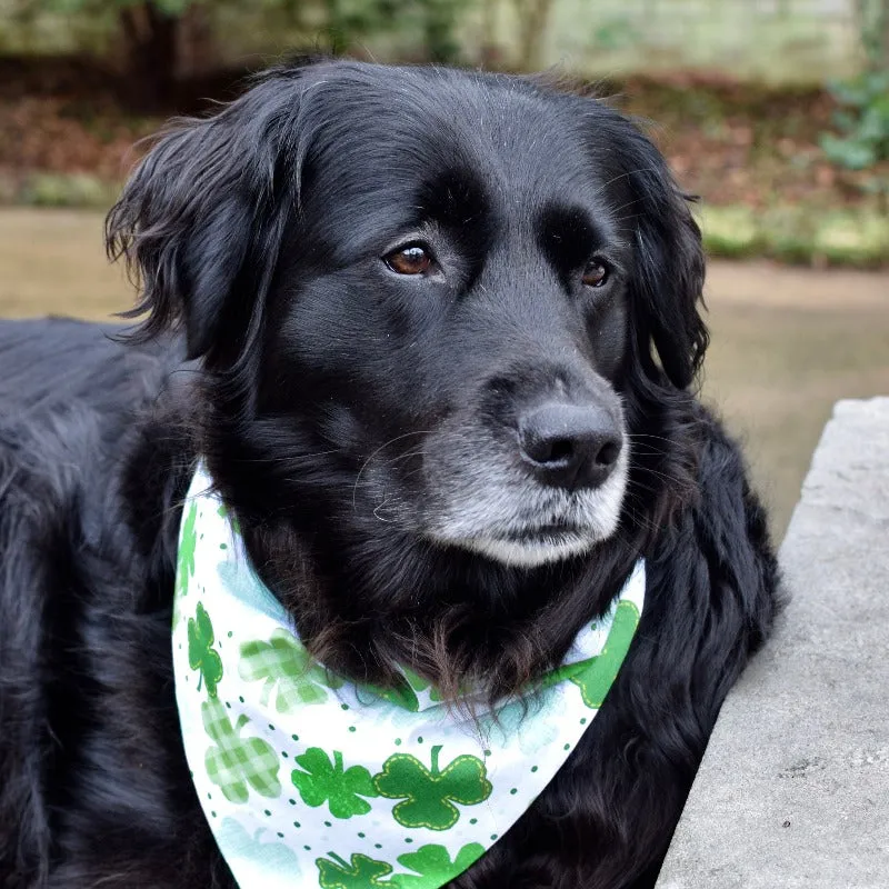 St Patrick's Day Dog Bandanas with Personalization