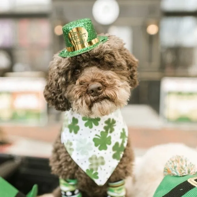 St Patrick's Day Dog Bandanas with Personalization