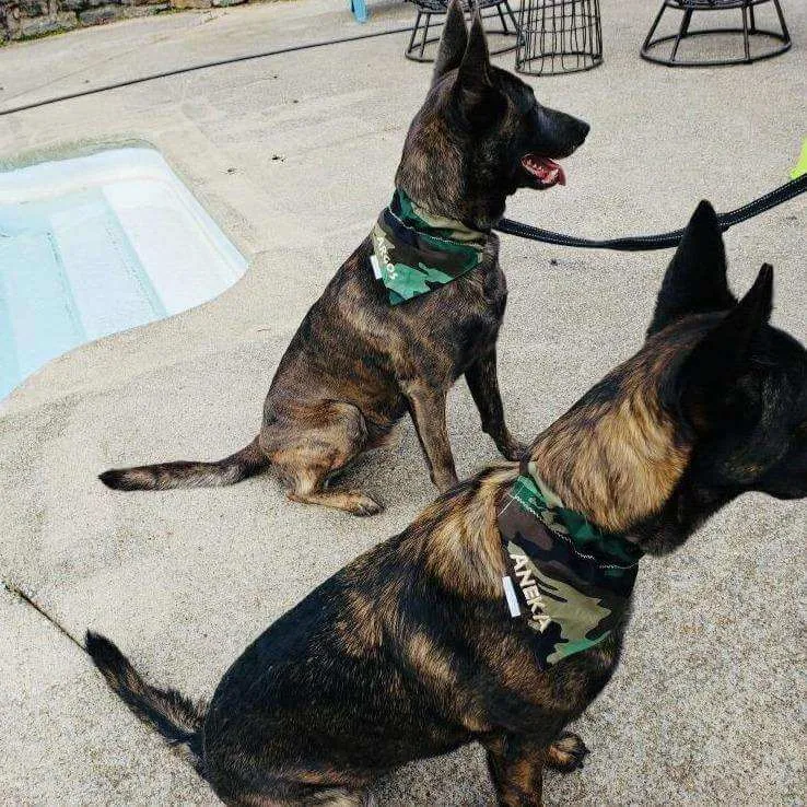 Stylish Camouflage Dog Bandana