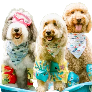 Summer Fish Dog Bandanas with Name Embroidered