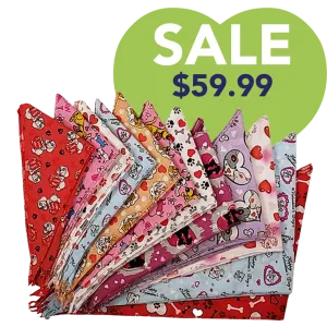 Valentine's Day Bandanas - 60 Assorted Sizes and Patterns by Bandanas Unlimited