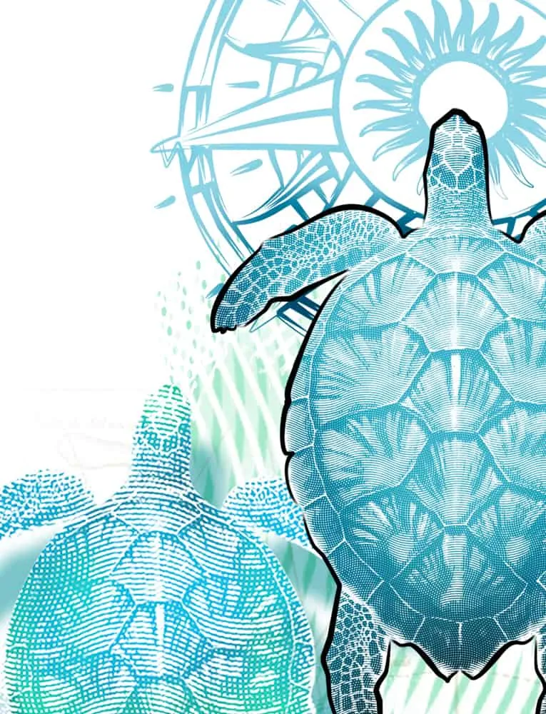 Women's Sea Turtle UV Rash Guard by Chart Your Own Course | Long Sleeve | UPF 50 Sun Protection | Performance Polyester